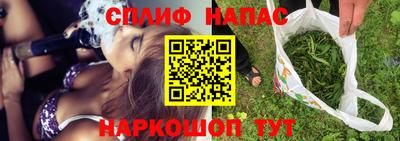 дживик Кингисепп